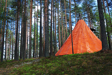 Image showing orange tent in a pine forest