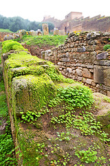 Image showing chellah  in         the old roman       monument and site