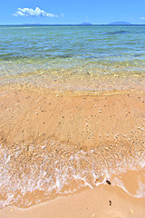 Image showing paradise beach seaweed   nosy be   and foam