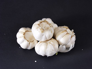 Image showing Garlic Bulbs 007