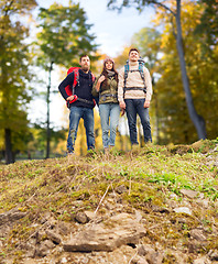 Image showing group of smiling friends with backpacks hiking