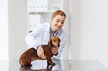 Image showing doctor with stethoscope and dog at vet clinic