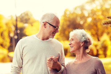 Image showing senior couple in park