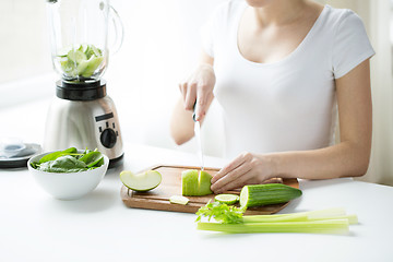 Image showing close up of woman with blender chopping vegetables