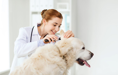 Image showing happy doctor with otoscope and dog at vet clinic