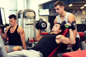 Image showing group of men with dumbbells in gym