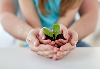 Image showing close up of father and girl hands holding sprout