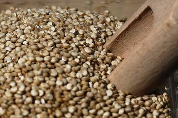 Image showing Quinoa and a wooden spatula.