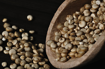 Image showing Quinoa and a wooden spatula.