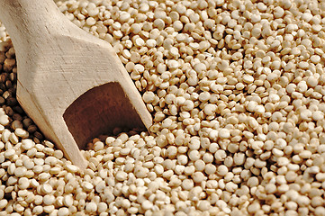 Image showing Quinoa and a wooden spatula.