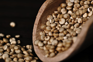 Image showing Quinoa and a wooden spatula.