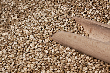 Image showing Quinoa and a wooden spatula.