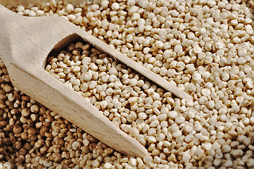 Image showing Quinoa and a wooden spatula.