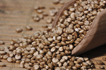 Image showing Quinoa and a wooden spatula.