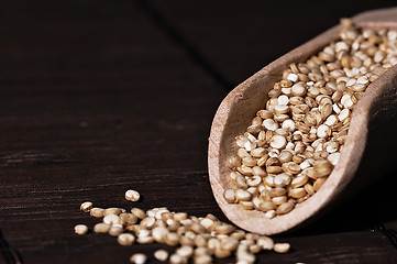 Image showing Quinoa and a wooden spatula.