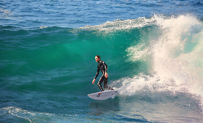 Image showing Surfing in Sydney