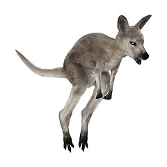 Image showing Joey