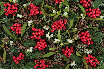 Image showing Holly and Mistletoe 