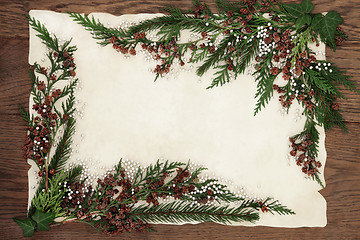 Image showing Cedar Cypress and Fir Border