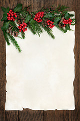 Image showing Holly and Fir Border