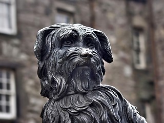Image showing Dog statue