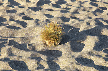 Image showing Sand