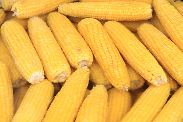 Image showing boiled sweet corn