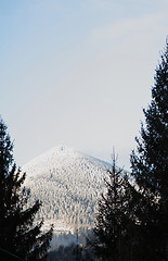Image showing Winter Carpathians.