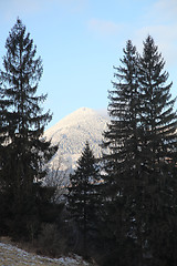 Image showing Winter Carpathians.