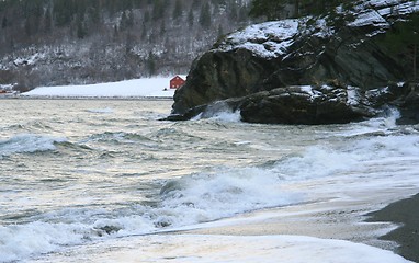 Image showing Winter shore