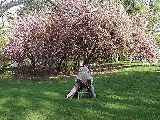 Image showing Woman painting