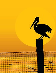 Image showing Pelican Sunset