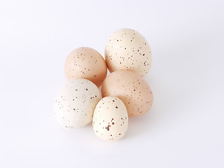 Image showing Speckled Eggs