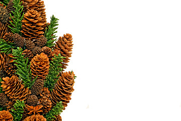 Image showing Pinecone landscape