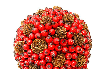 Image showing Berry and cones