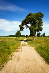 Image showing the rural road 