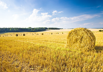 Image showing  harvest company