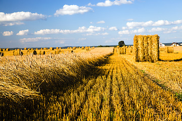 Image showing  harvest company