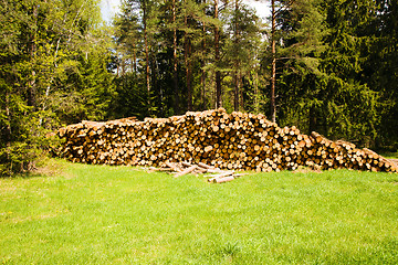 Image showing   sawed trees