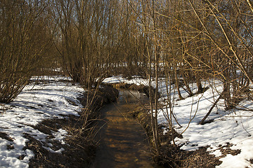 Image showing streamlet in the winter  