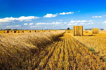 Image showing  harvest company