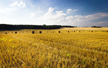 Image showing  harvest company