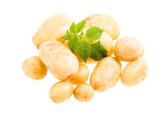 Image showing new potatoes 