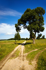 Image showing   rural road