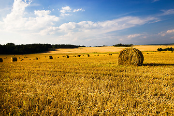 Image showing  harvest company