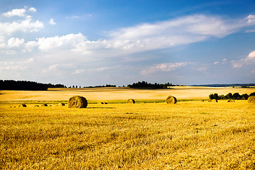 Image showing  harvest company