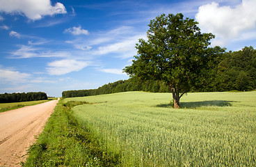 Image showing   rural road