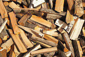 Image showing the cut-down firewood  