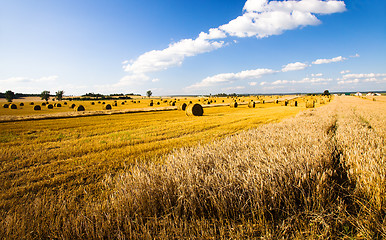 Image showing  harvest company