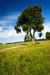 Image showing the rural road  